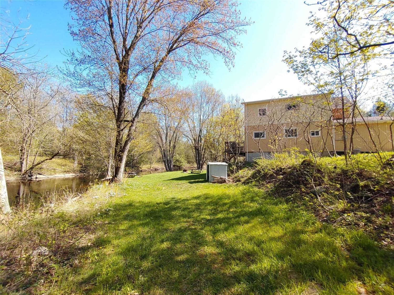 Listing Image 4