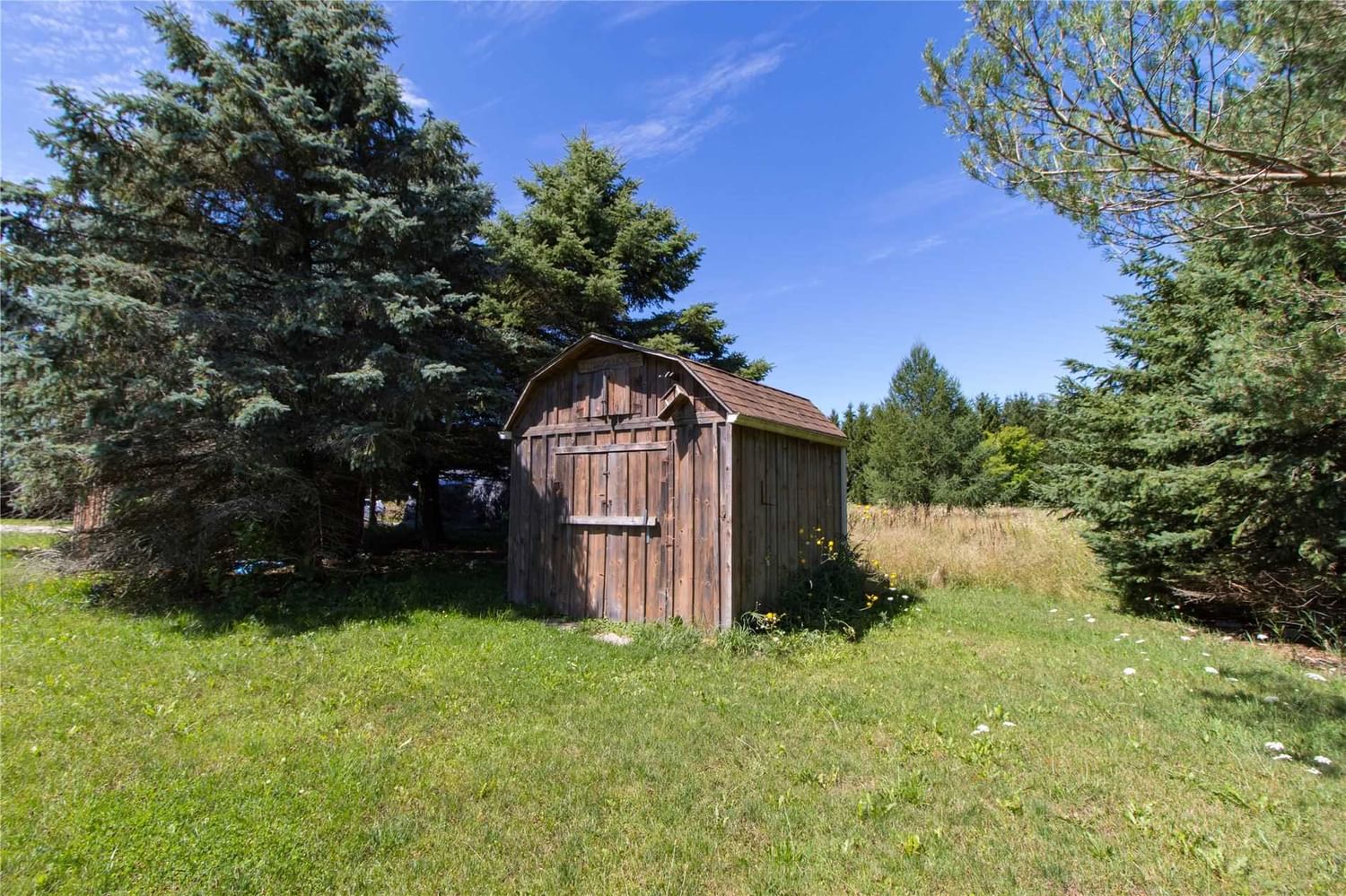 Listing Image 7