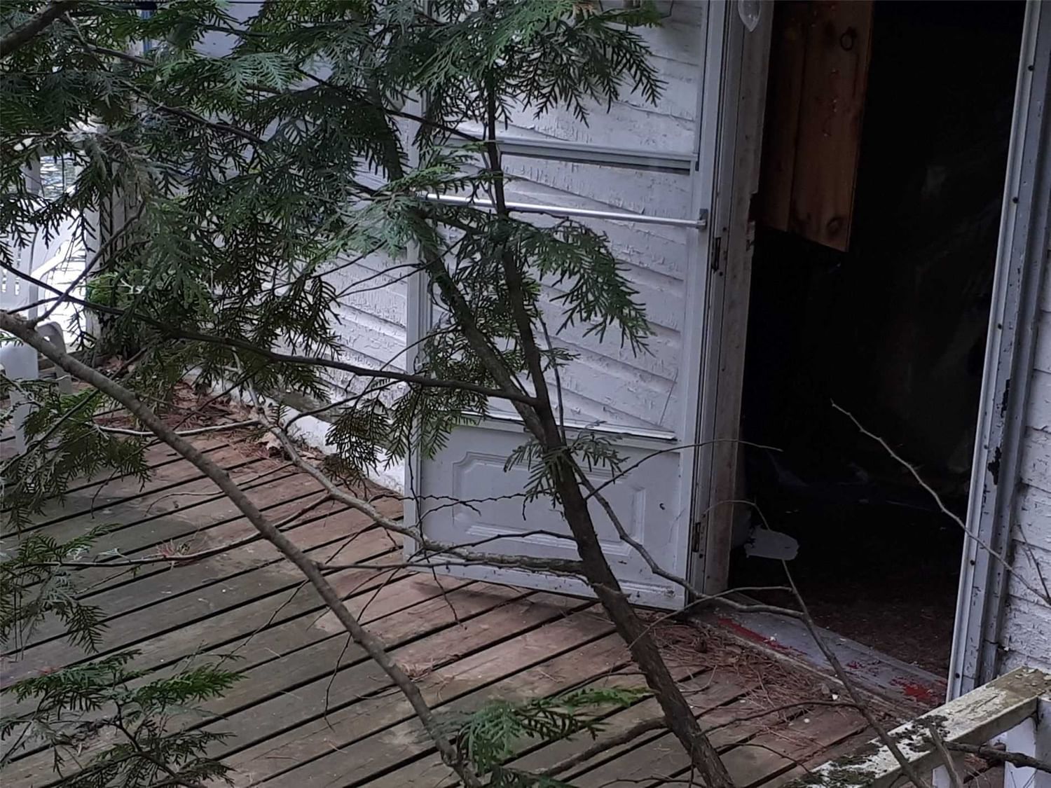 Listing Image 11