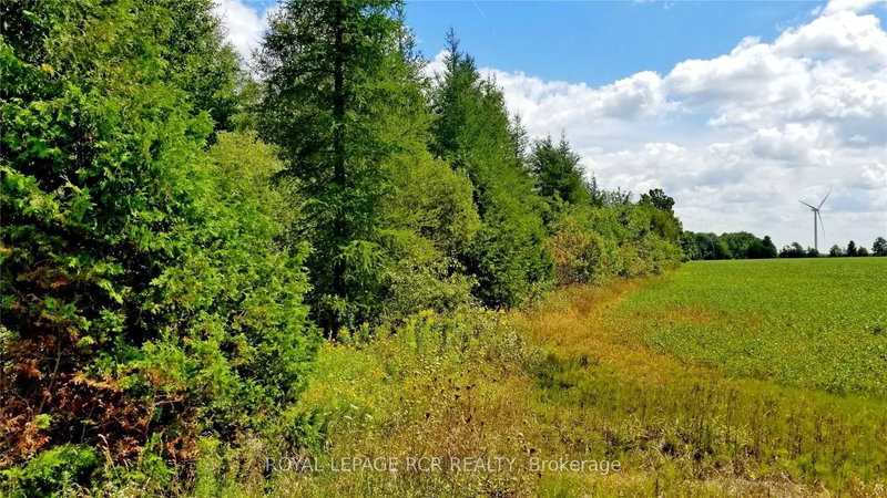 Lot 31 9 County Rd, Melancthon, N0C 1B0 | Image 2