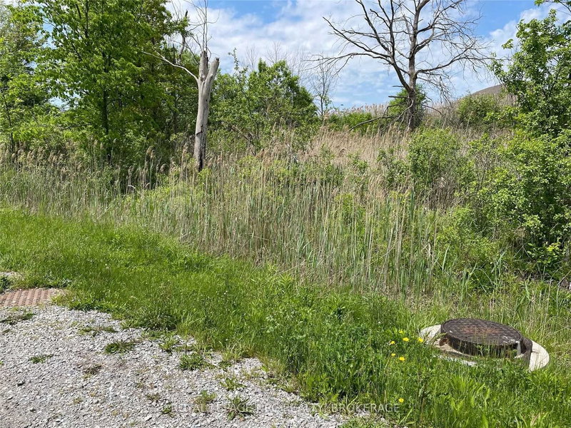 26 Shaw St, Welland, L3C 5W8 | Image 3