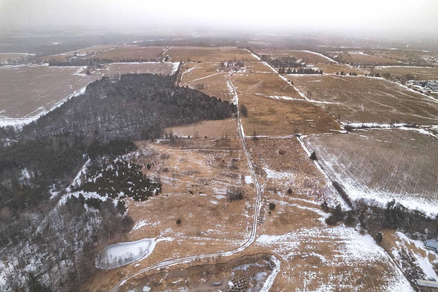Listing Image 16