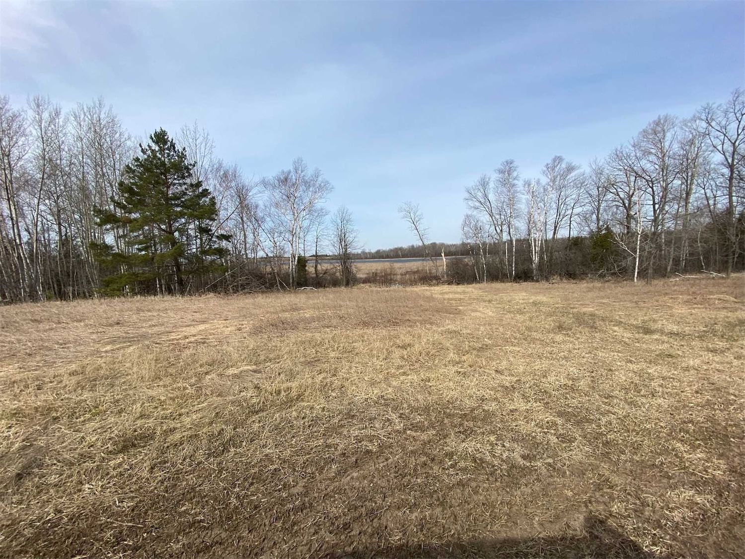 Listing Image 30