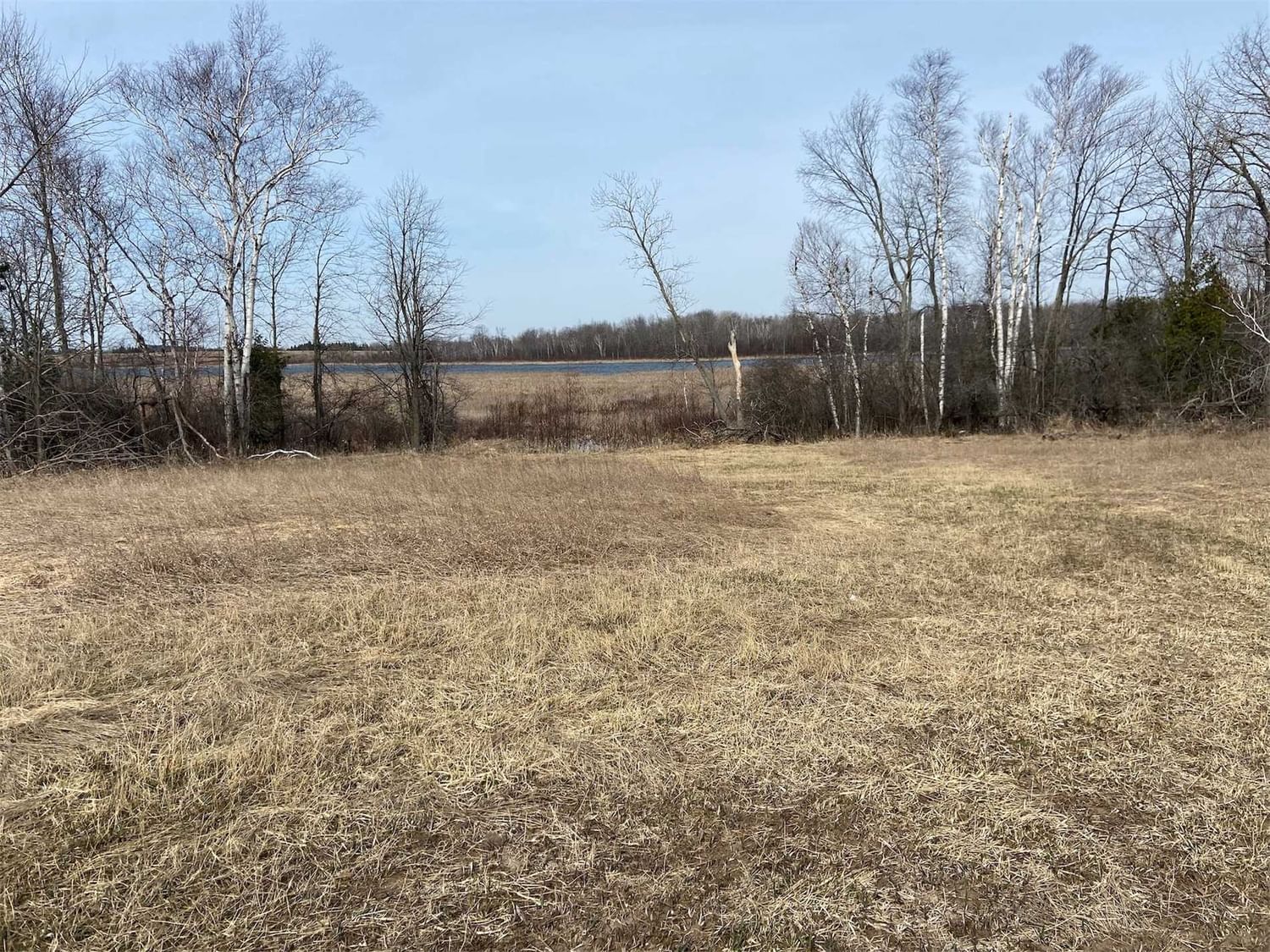 Listing Image 36