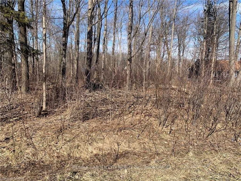 0 Garrison Rd, Fort Erie, L0S 1N0 | Image 2