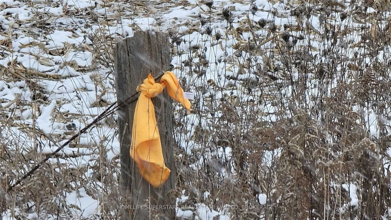 214131 10th Line, Amaranth, L9V 1K1 | Image 3