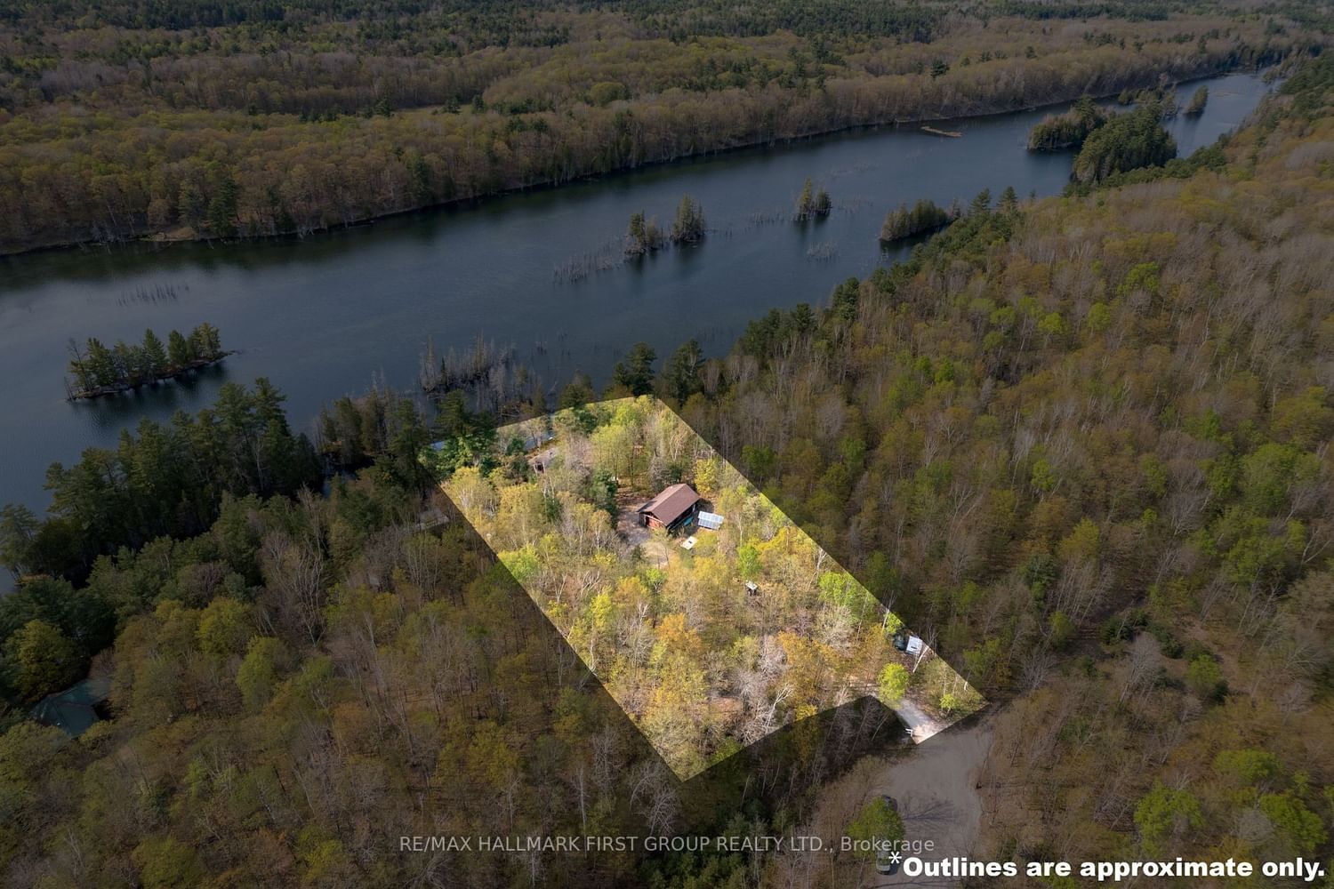 Listing Image 7