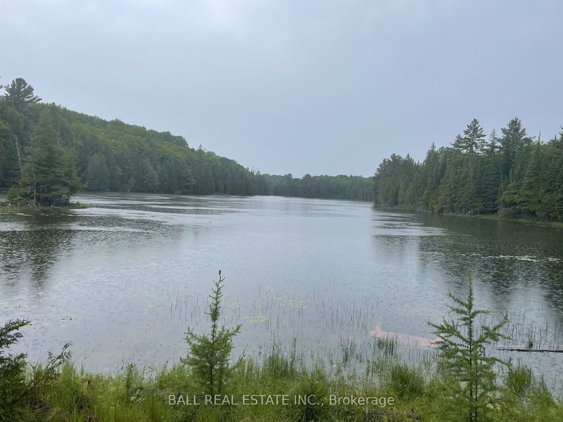 0 Johnson Rd, North Kawartha, K0L 1A0 | Image 3