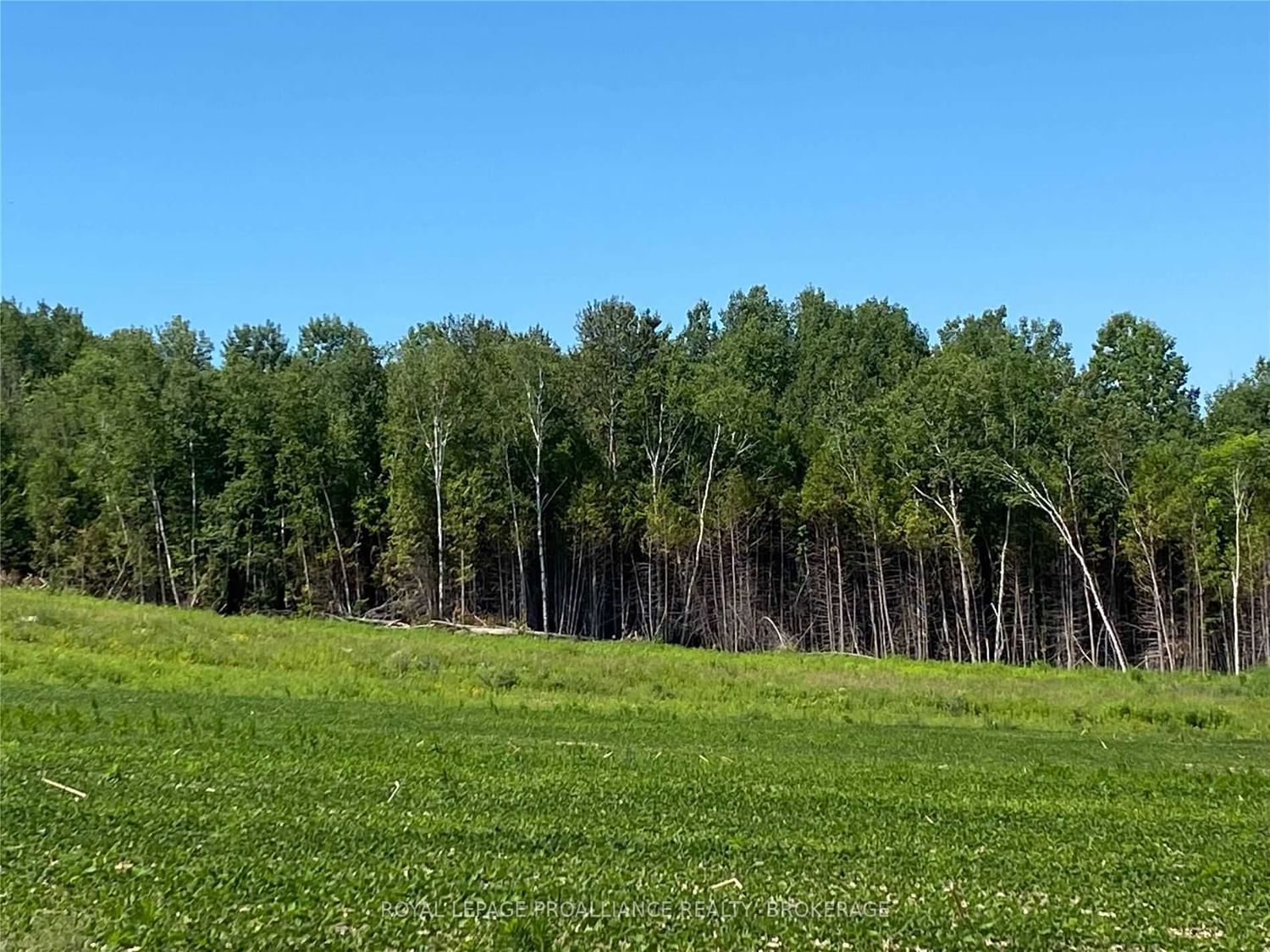 Listing Image 35