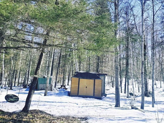 14 Pinetree Road