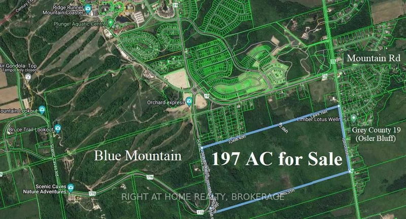 000 Grey County 19 Rd, Blue Mountains, L9Y 0N5 | Image 2