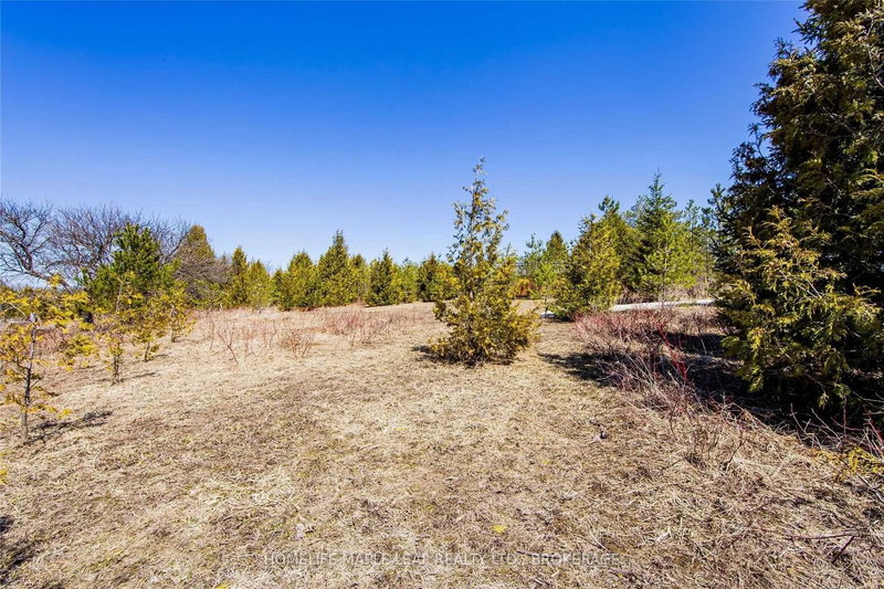 405251 Grey Rd 4 Rd, Grey Highlands, N0C 1K0 | Image 3