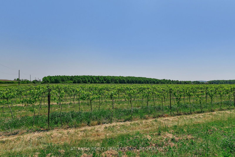 497 Line 5 Rd S, Niagara-on-the-Lake, L0S 1T0 | Image 2