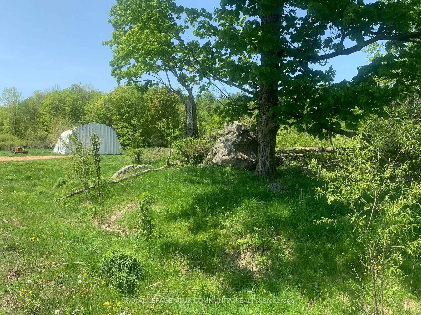 Listing Image 7