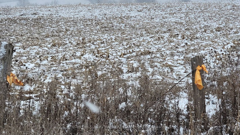 214131 10th Line, Amaranth, L9V 1K1 | Image 3