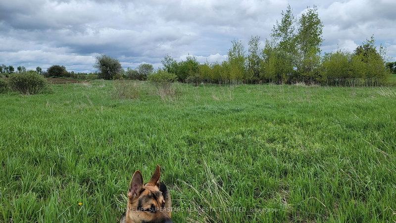 214131 10th Line, Amaranth, L9V 1K1 | Image 3