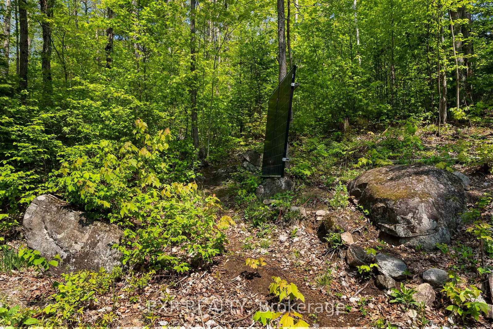 Listing Image 26