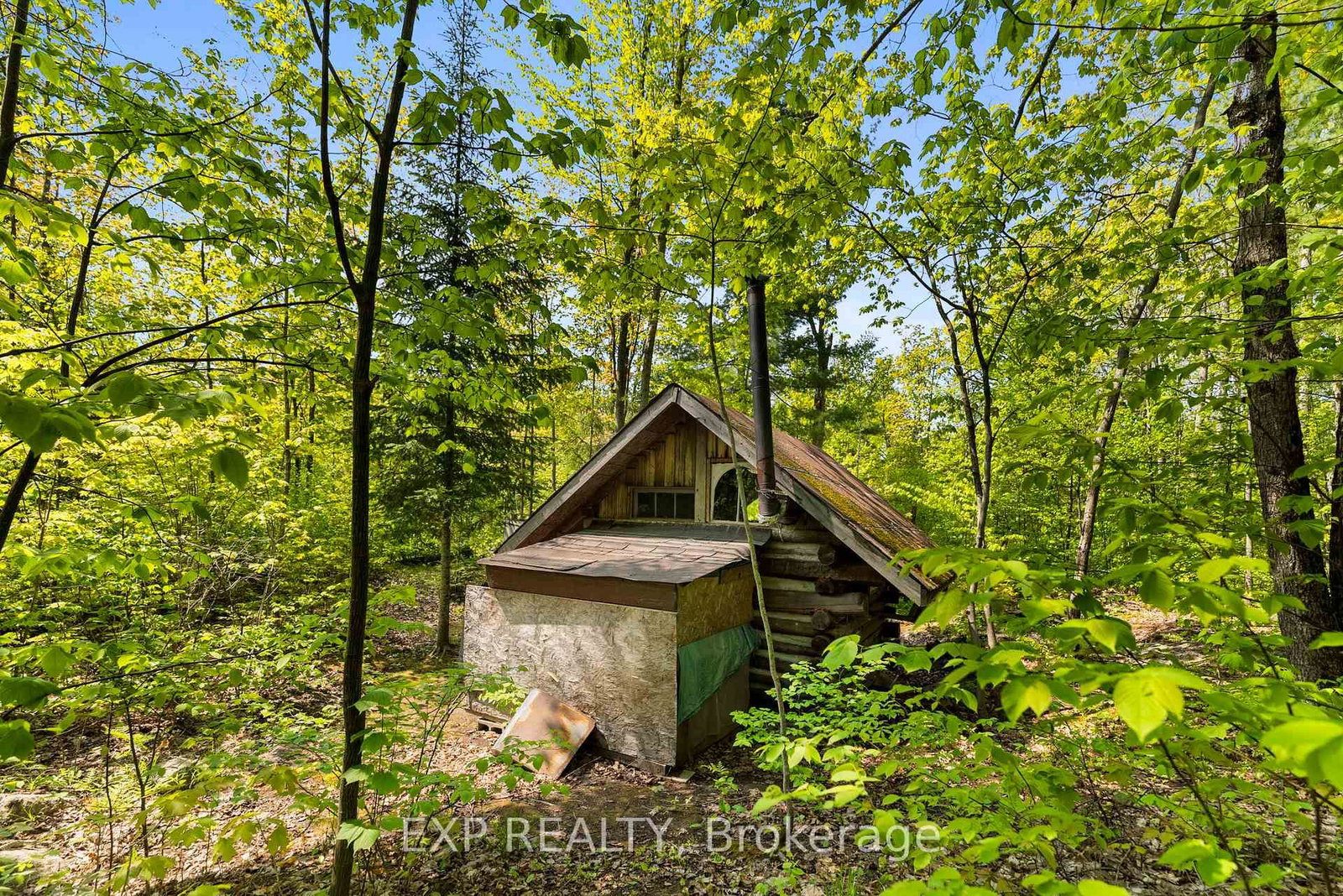 Listing Image 4