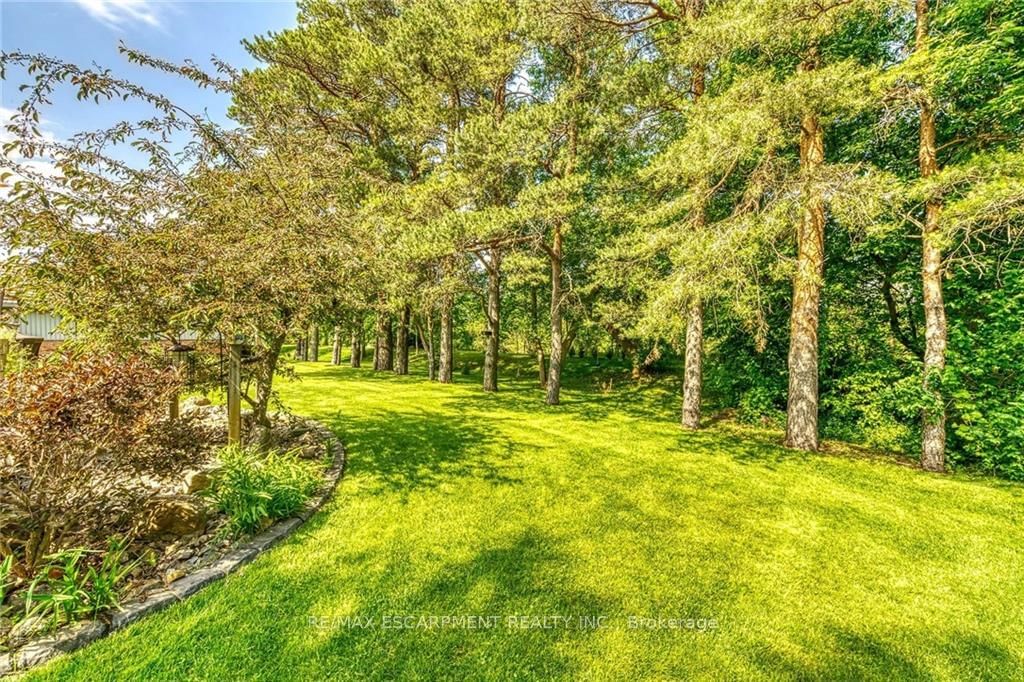 Listing Image 37