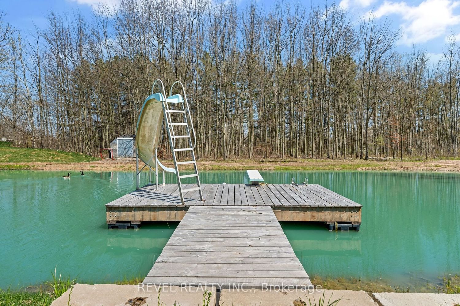 Listing Image 7