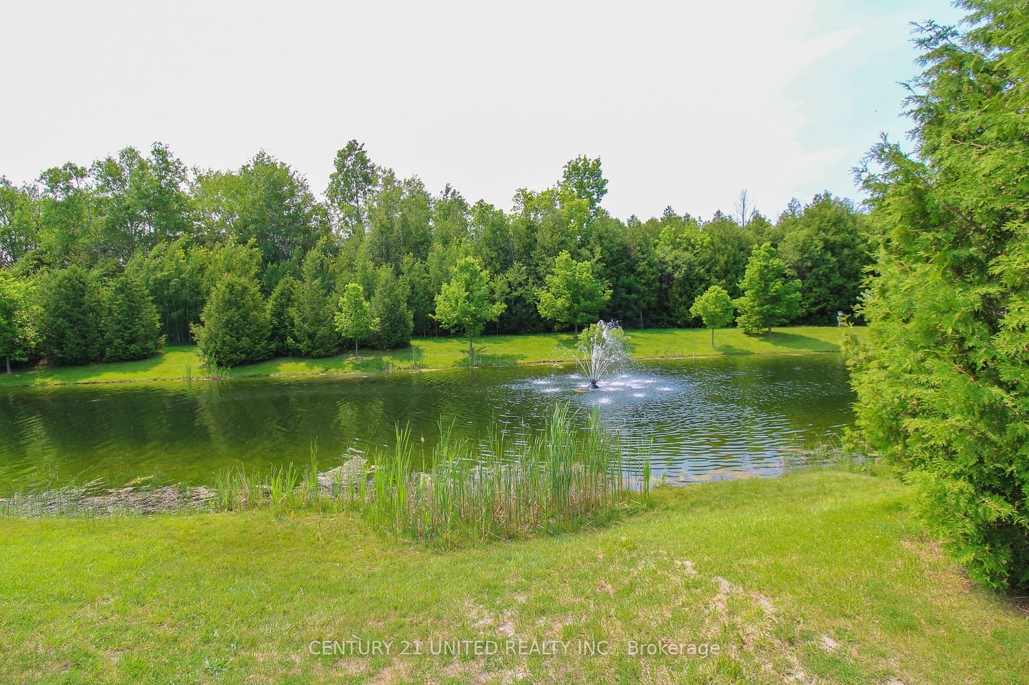Listing Image 34