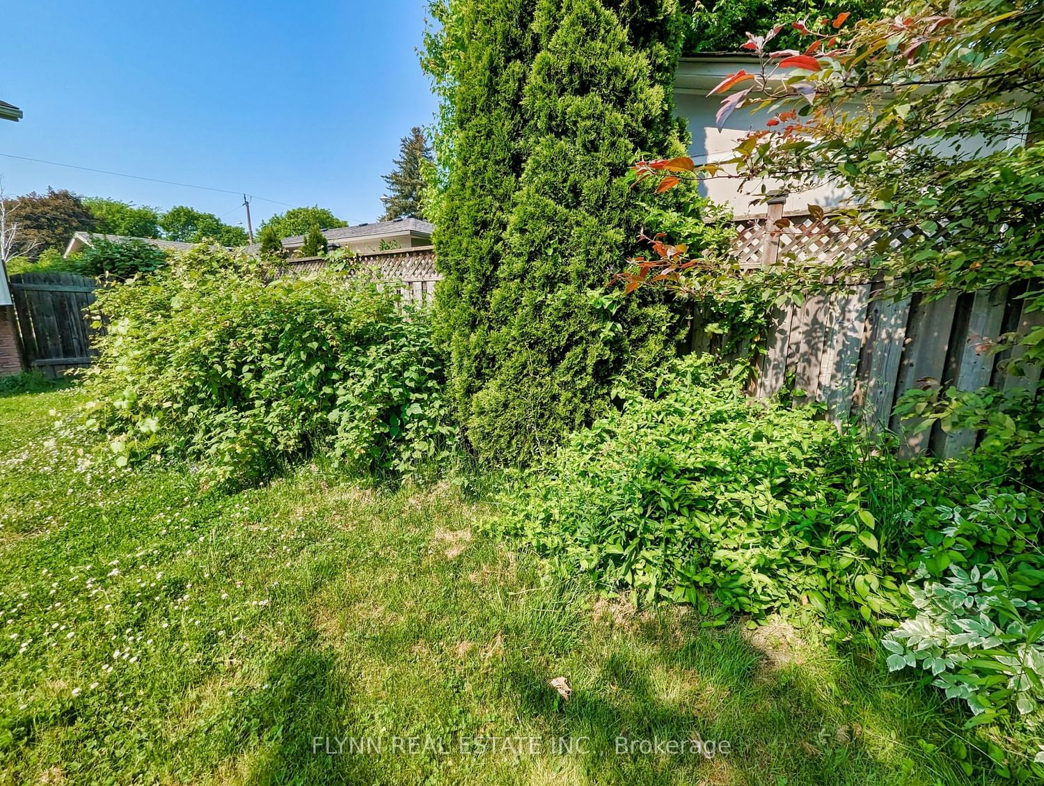 Listing Image 8