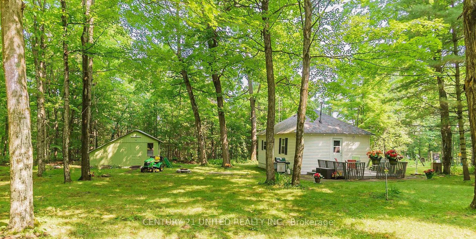 Listing Image 19