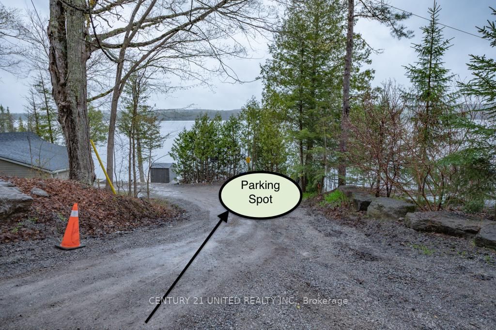 Listing Image 24
