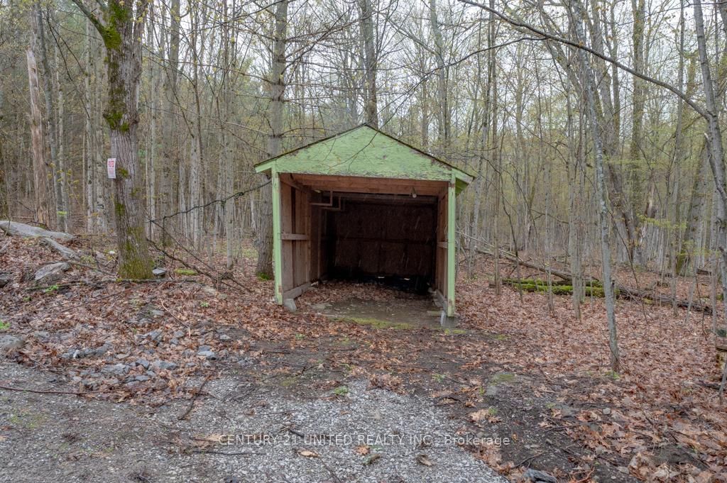 Listing Image 37