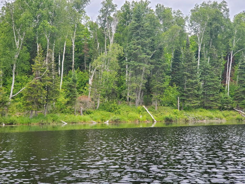 PT1,2,3 Cadden Lake   Parry Sound Remote Area, P0H 1A0 | Image 4