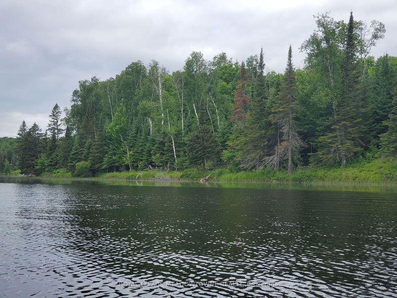 PT4,5,6 Cadden Lake   Parry Sound Remote Area, P0H 1A0 | Image 5