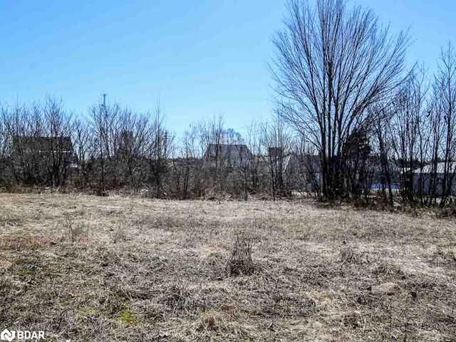 195 Nelson St, Gravenhurst, P1P 1K7 | Image 2