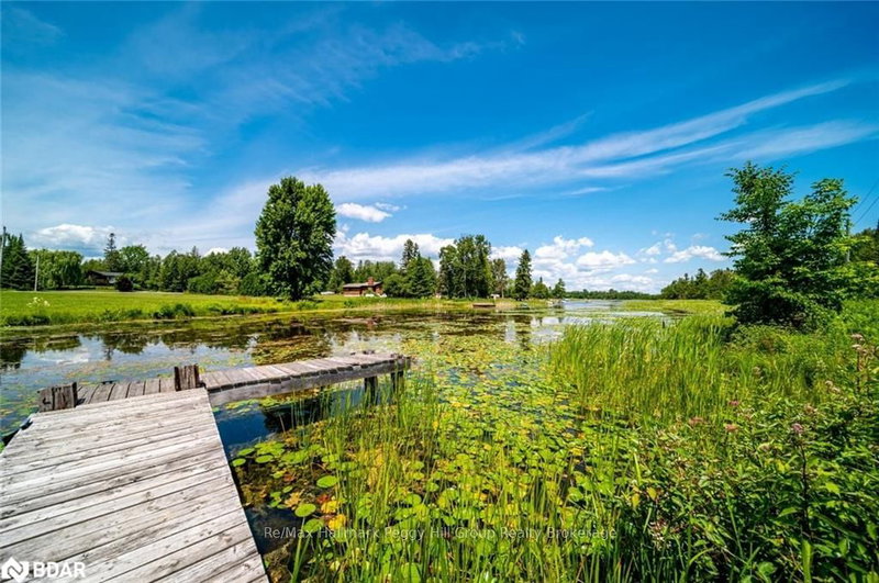 42 Cedar Bay Rd, Kawartha Lakes, L0K 1B0 | Image 2
