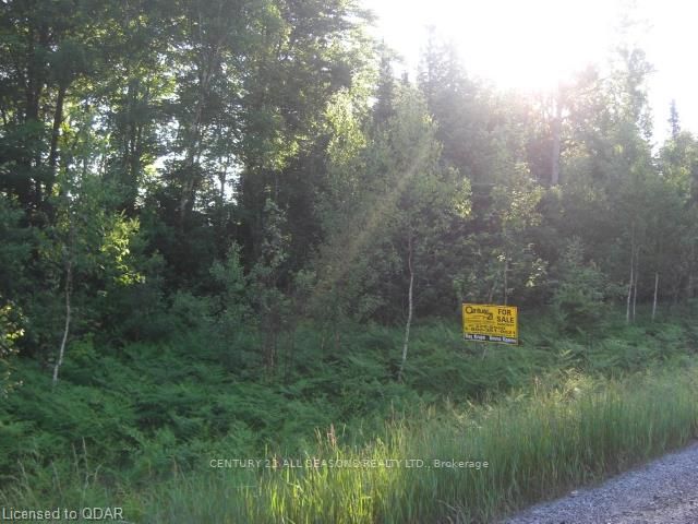 0 Highway 118, Highlands East, K0L 1C0 | Image 2