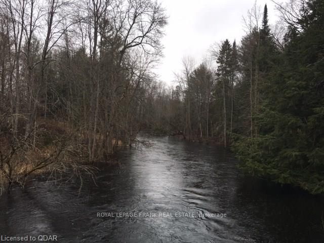 0 Deloro Rd, Madoc, K0K 2K0 | Image 2