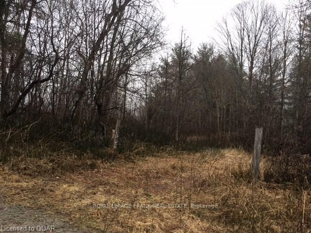 0 Deloro Rd, Madoc, K0K 2K0 | Image 3