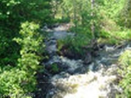 0 Deloro Rd, Madoc, K0K 1L0 | Image 2