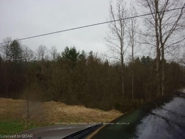 0 Deloro Rd, Madoc, K0K 1Y0 | Image 2