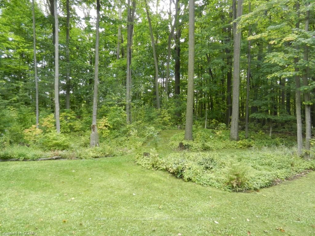 Listing Image 26
