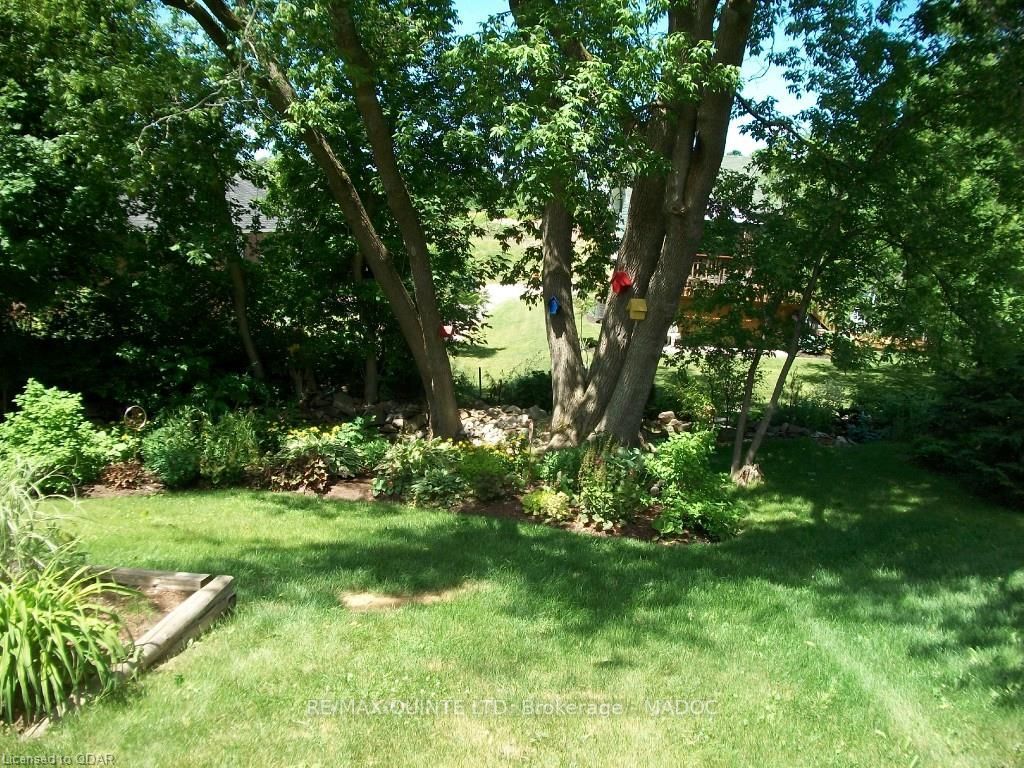 Listing Image 29