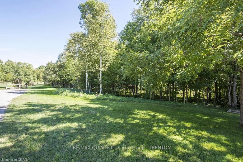 Listing Image 30