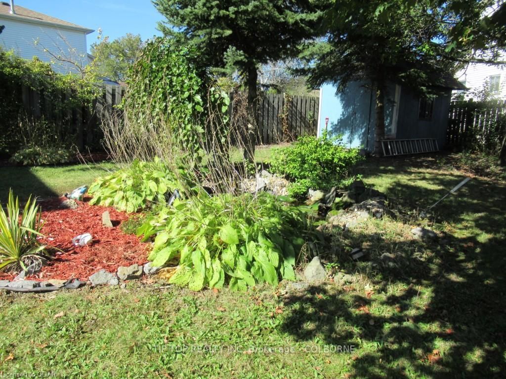Listing Image 7