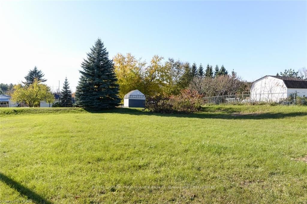Listing Image 29
