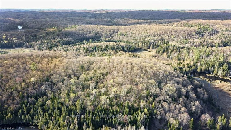 0 Highway 118, Highlands East, K0L 2M0 | Image 3