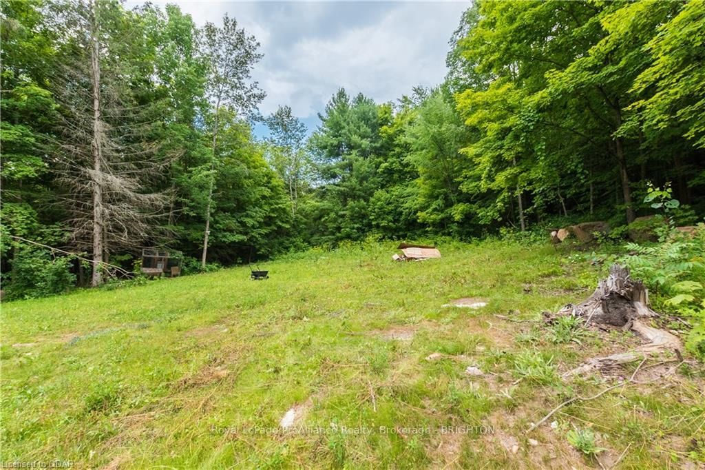 Listing Image 28