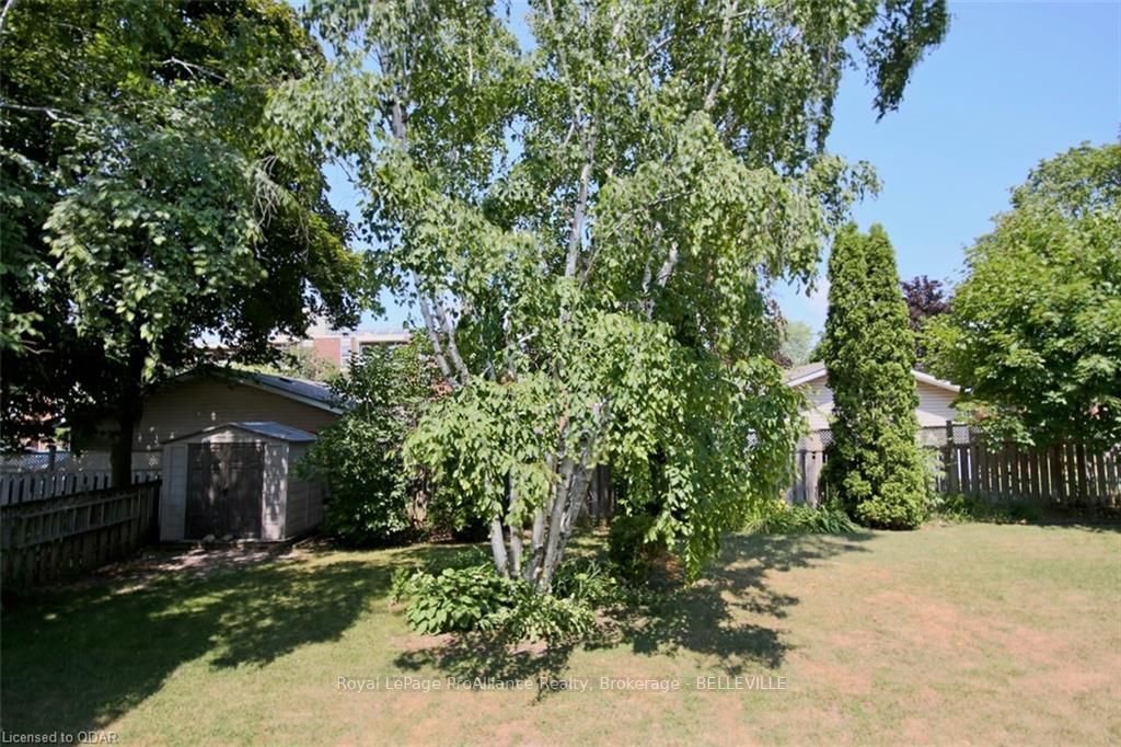 Listing Image 28