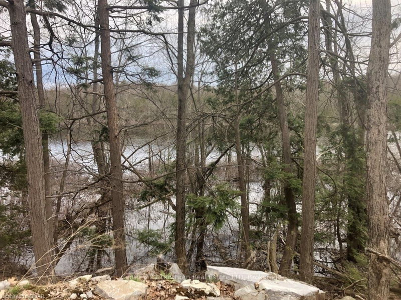 641 Lahey Rd, Madoc, K0K 2K0 | Image 3