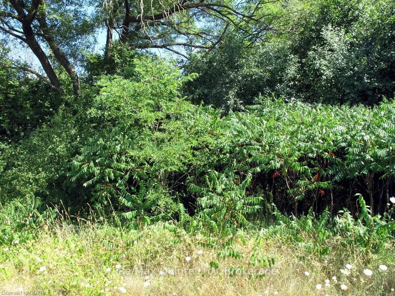 45 Dussek St, Belleville, K8N 5R9 | Image 2