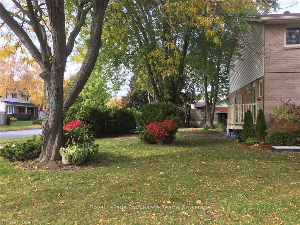 Listing Image 16