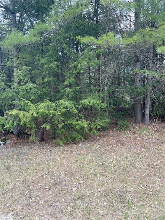 3 Acreman Rd, Madoc, K0K 2T0 | Image 2